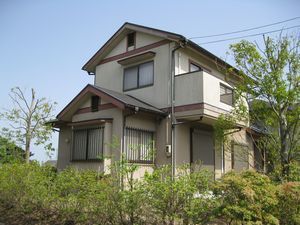 IMG_0515.JPG